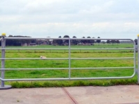 Sonstiges Stall- und Melkmaschinen und Zubehör Qmac HW350  Weidehekken / Landhekken / Weidepoort