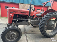 Schlepper / Traktor Massey Ferguson MF825
