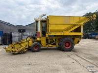 Feldhäcksler Hesston Field queen rear dump