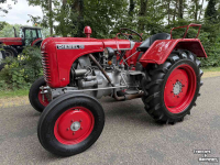 Schlepper / Traktor Steyr T84