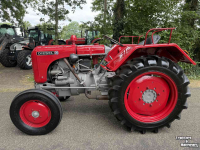 Schlepper / Traktor Steyr T84