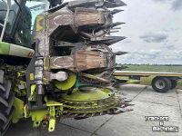 Maisgebiss Claas ORBIS 600 SD