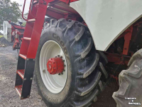 Rübenroder Vervaet BE625 Bietenrooier / Sugar beet harvester / Rubenroder