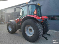 Schlepper / Traktor Massey Ferguson 6445