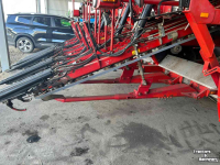 Karotteroder Asa-lift SP4000 E - 4 row self-propelled carrot harvester