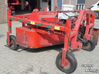 Zwiebelroder MacLouis VMB