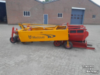 Zwiebelroder MacLouis VMB