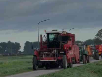 Kartoffelroder Amac ZM4