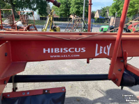 Schwader Lely Hibiscus 805