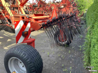 Schwader Lely Hibiscus 805