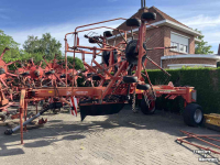 Schwader Lely Hibiscus 805