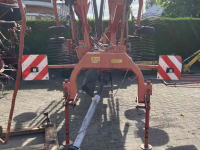 Schwader Lely Hibiscus 805