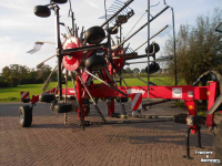 Schwader Fella ts10065