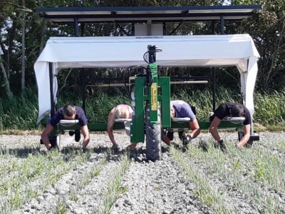 Sonstiges Düngetechnik Maschinen und Zubehör Doornbos Zelfrijdend Wiedbed