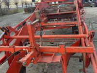 Zwiebelroder Amac f2