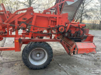 Zwiebelroder Amac f2