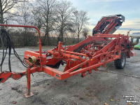Zwiebelroder Amac f2