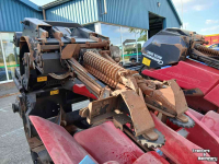 Maispflücker Geringhoff Rota-Disc 600