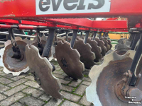 Scheibenegge Evers Orlov Schijveneg