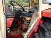Schlepper / Traktor International 844 SB