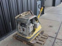 Vibrationplatten Wacker DPU6055 trilplaat met Hatz 1D81S dieselmotor trilblok (staat DPU6555 op)