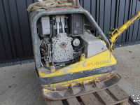 Vibrationplatten Wacker DPU6055 trilplaat met Hatz 1D81S dieselmotor trilblok (staat DPU6555 op)