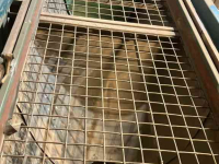 Sortiermaschine Demco Complete sorteerinstallatie