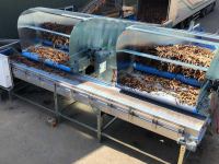Annahmebunker SWP Machinery Instortbunker | Industrial Receiving Hopper | Stortbak | vVi