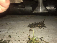 Schlegelmulchgeräte Tehnos MB220LW Profi NIEUWE klepels