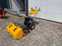 Kehrmaschine Stiga SWS 800 G