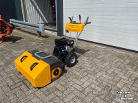 Kehrmaschine Stiga SWS 800 G