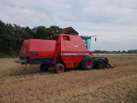 Mähdrescher Massey Ferguson 31
