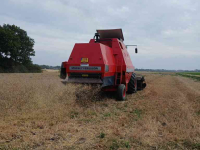 Mähdrescher Massey Ferguson 31
