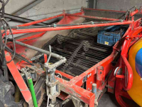 Zwiebelroder Holaras Uienrooiset 1.50 mtr Holarar-Amac