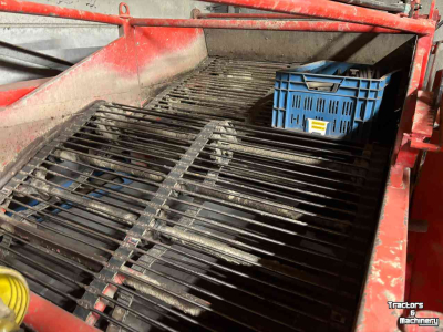 Zwiebelroder Holaras Uienrooiset 1.50 mtr Holarar-Amac