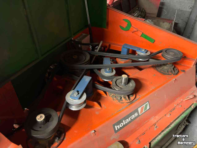 Zwiebelroder Holaras Uienrooiset 1.50 mtr Holarar-Amac