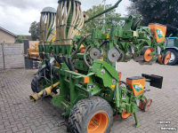 Drillmaschine Amazone ED 601 Maiszaaimachine schijfkouters