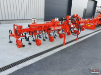 Hackmaschine Gaspardo Maschio HS 6 Inter-row cultivator