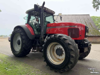 Schlepper / Traktor Massey Ferguson 8240 Powercontrol