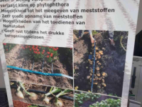 Sonstiges Beregnungsmaschinen und Zubehör  drip irrigatie