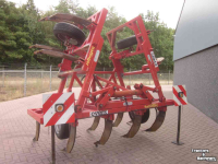 Grubber Evers Evers haflinger