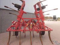 Grubber Evers Evers haflinger