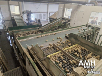 Sortiermaschine Schouten Sorteerlijn  Schouten sorteerlijn, Schouten sorting line, Schouten Sortierlinie