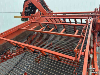 Zwiebelroder Amac F2 uienlader