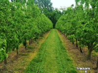 Sonstiges McConnel FRUITAERATOR Fruitteelt Cultivator/ Obst- und Weinbau Tiefenlockerer