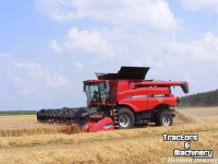 Mähdrescher Case-IH Axial Flow 8230