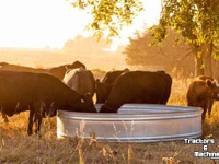 Tränkebecken Sonnenenergie Suevia Stocktank