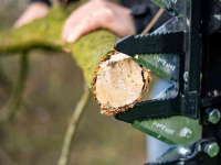 Heckenrotormäher Düvelsdorf Düvelsdorf Takkenschaar, Snoeischaar, Takkenzaag Frontlader