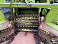 Feldhäcksler Claas Jaguar 80 SF