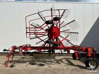 Schwader Lely Hibiscus 725 Master
